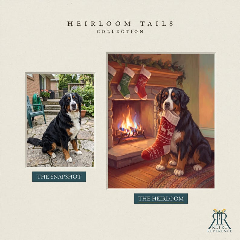May include: A side-by-side comparison titled HEIRLOOM TAILS COLLECTION. The left image, THE SNAPSHOT, shows a Bernese Mountain Dog sitting on a stone patio. The right image, THE HEIRLOOM, depicts the same dog holding a red Christmas stocking.