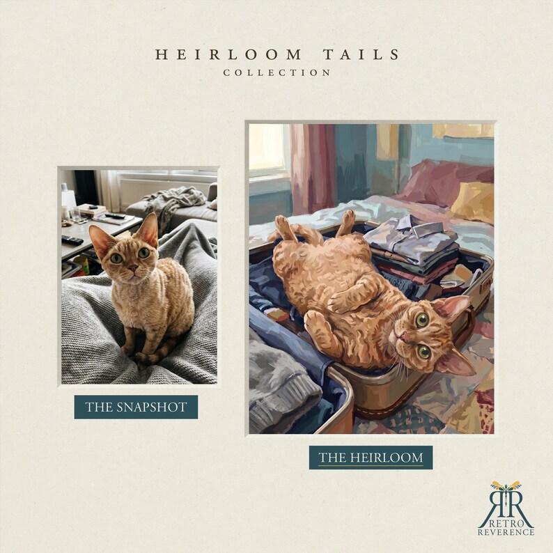 Puede incluir: Una comparaci&oacute;n lado a lado titulada HEIRLOOM TAILS COLLECTION que presenta una fotograf&iacute;a etiquetada THE SNAPSHOT de un gato jengibre sentado en una manta gris y una ilustraci&oacute;n etiquetada THE HEIRLOOM del mismo gato dentro de una maleta.