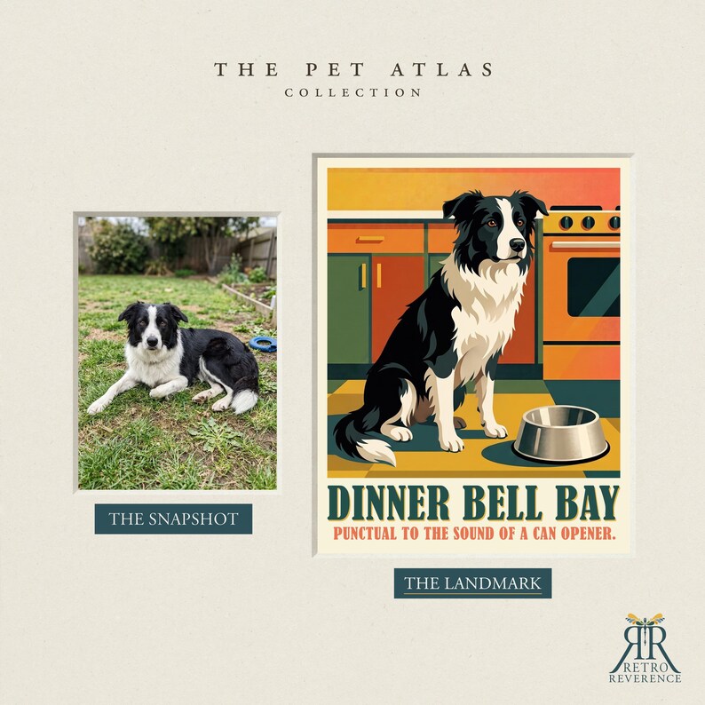 May include: A print titled The Pet Atlas Collection featuring a photograph of a black and white Border Collie on grass labeled The Snapshot and a stylized illustration of the same dog in a kitchen labeled The Landmark Dinner Bell Bay.