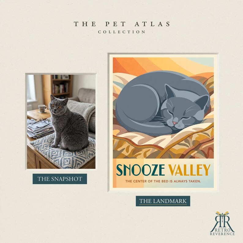 May include: A graphic art print titled Snooze Valley featuring a grey cat curled up on a patterned blanket, with the text The centre of the bed is always taken. Beside it is a photograph of a grey cat sitting on a patterned cushion.