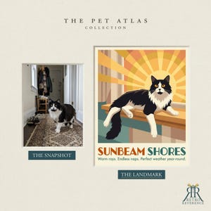May include: A side-by-side comparison featuring a photograph of a black and white cat on a rug labeled THE SNAPSHOT and a stylized illustration of the same cat resting on a ledge labeled THE LANDMARK, titled THE PET ATLAS COLLECTION.