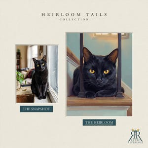 May include: A side-by-side comparison titled HEIRLOOM TAILS COLLECTION featuring a photograph labeled THE SNAPSHOT of a black cat with yellow eyes sitting by a window, and a digital painting labeled THE HEIRLOOM of the same cat resting on stairs.