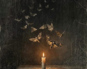 Moths and Candle Wall Art, Moody Vintage Style Halloween Decor, Memento Mori Gothic Art, Spooky Artwork, Oddities Decor, Art Print or Canvas