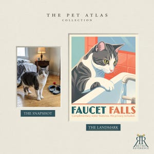 May include: A print titled The Pet Atlas Collection featuring a gray and white cat in a bedroom snapshot and a stylized illustration titled Faucet Falls showing a cat at a sink with the text Complimentary water features. No privacy included.