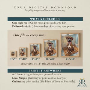 May include: A digital download information graphic featuring a portrait of a boxer dog in five different frame sizes from 4x5 inches to 24x30 inches. The text includes details on high-resolution JPG files, print ratios, and various printing options.