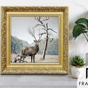 Traditional Ornate gold square picture frames vintage detailing displaying wildlife wall art on light grey surface, styled as elegant home decor. perfect for living room decor, office decor, farmhouse decor, and classic gallery wall styling