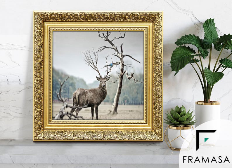 Traditional Ornate gold square picture frames vintage detailing displaying wildlife wall art on light grey surface, styled as elegant home decor. perfect for living room decor, office decor, farmhouse decor, and classic gallery wall styling