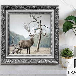 Traditional Ornate silver square picture frames vintage detailing displaying wildlife wall art on light grey surface, styled as elegant home decor. perfect for living room decor, office decor, farmhouse decor, and classic gallery wall styling