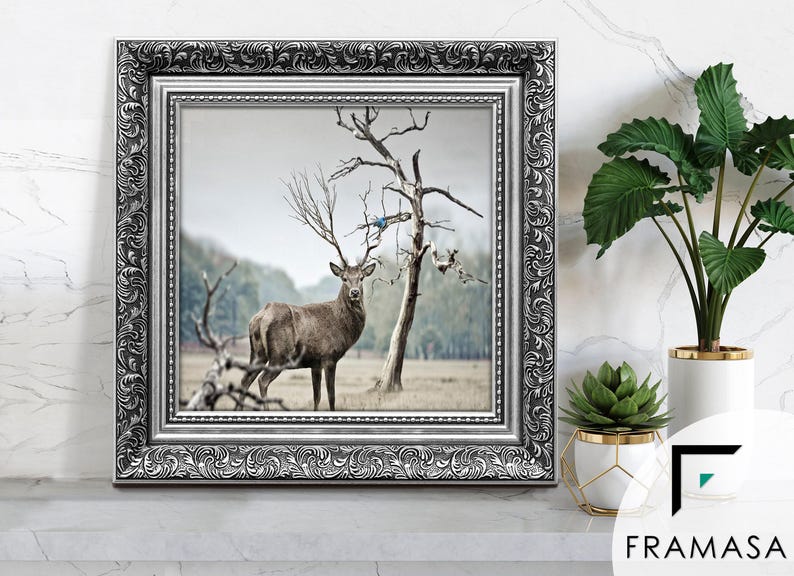 Traditional Ornate silver square picture frames vintage detailing displaying wildlife wall art on light grey surface, styled as elegant home decor. perfect for living room decor, office decor, farmhouse decor, and classic gallery wall styling