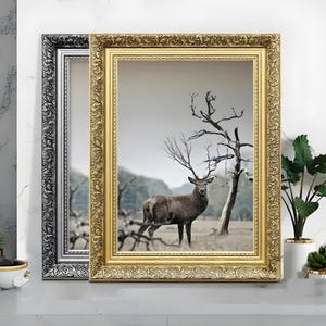 Ornate gold and silver picture frames displaying wildlife wall art on light grey surface, styled as elegant home decor. Decorative poster frame and photo frame design with vintage detailing, perfect for living room decor, office decor, farmhouse decor, and classic gallery wall styling