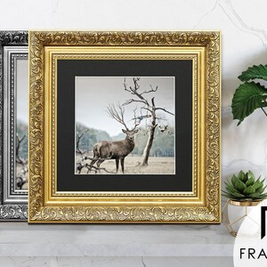 Ornate gold and silver square picture frames With black matt & vintage detailing displaying wildlife wall art on table, styled as elegant home decor. perfect for living room decor, office decor, farmhouse decor, and classic gallery wall styling