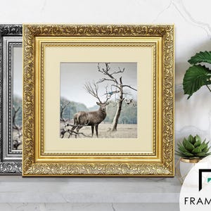 Ornate gold and silver square picture frames With Ivory matt & vintage detailing displaying wildlife wall art on shelf, styled as elegant home decor. perfect for living room decor, office decor, farmhouse decor, and classic gallery wall styling