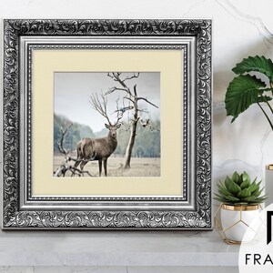 Traditional Ornate silver square picture frame with ivory mount & vintage detailing displaying wildlife wall art on light grey surface, styled as elegant home decor. perfect for living room decor, office decor, farmhouse decor, and classic gallery wall styling