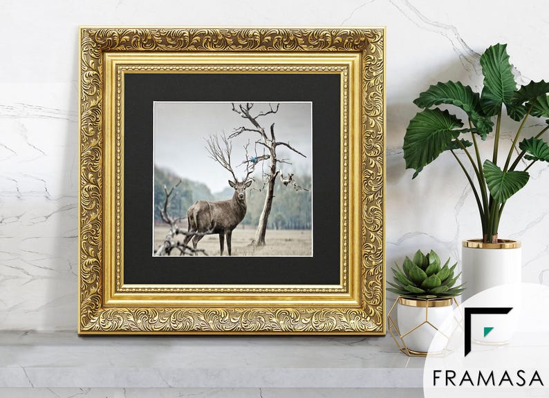 Traditional Ornate gold square picture frame with black mount & vintage detailing displaying wildlife wall art on light grey surface, styled as elegant home decor. perfect for living room decor, office decor, farmhouse decor, and classic gallery wall styling