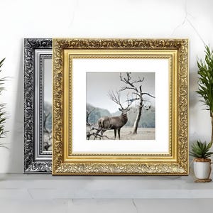 Ornate gold and silver square picture frames With white matt & vintage detailing displaying wildlife wall art on table, styled as elegant home decor. perfect for living room decor, office decor, farmhouse decor, and classic gallery wall styling