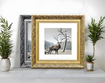 Ornate Gold Picture Frame with White Mount, Traditional Wall Art Home Decor