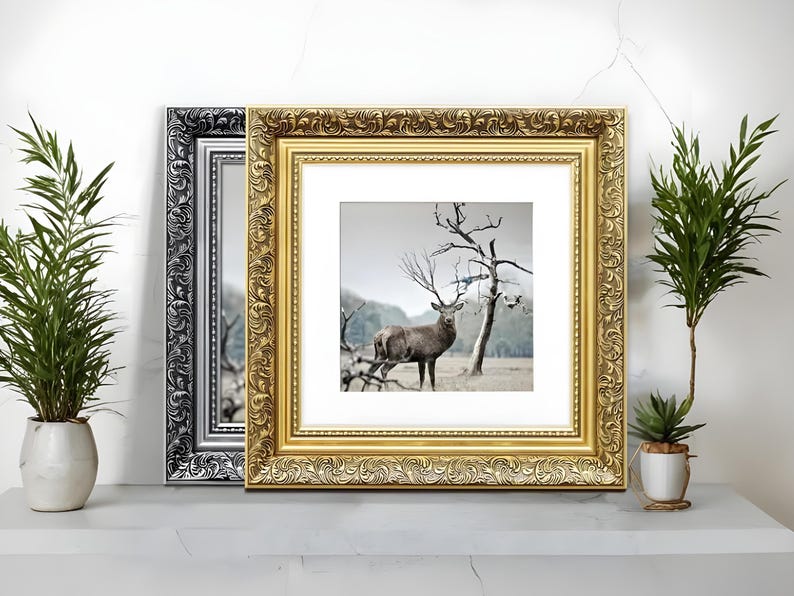 Ornate gold and silver square picture frames With white matt & vintage detailing displaying wildlife wall art on table, styled as elegant home decor. perfect for living room decor, office decor, farmhouse decor, and classic gallery wall styling