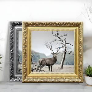 Ornate gold and silver square picture frames vintage detailing displaying wildlife wall art on light grey surface, styled as elegant home decor. perfect for living room decor, office decor, farmhouse decor, and classic gallery wall styling