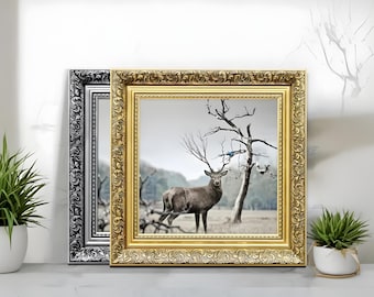 Handmade Dahlia Picture Frame | Ornate Polcore Wall Art