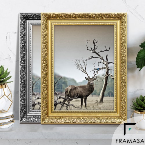 A1A2A3A4A5A6 Gold Picture Frames / Ornate Photo Frames / Etsy UK