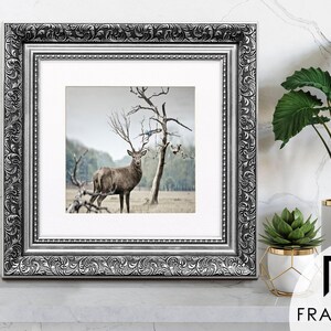 Traditional Ornate silver square picture frame with white mount & vintage detailing displaying wildlife wall art on light grey surface, styled as elegant home decor. perfect for living room decor, office decor, farmhouse decor, and classic gallery wall styling