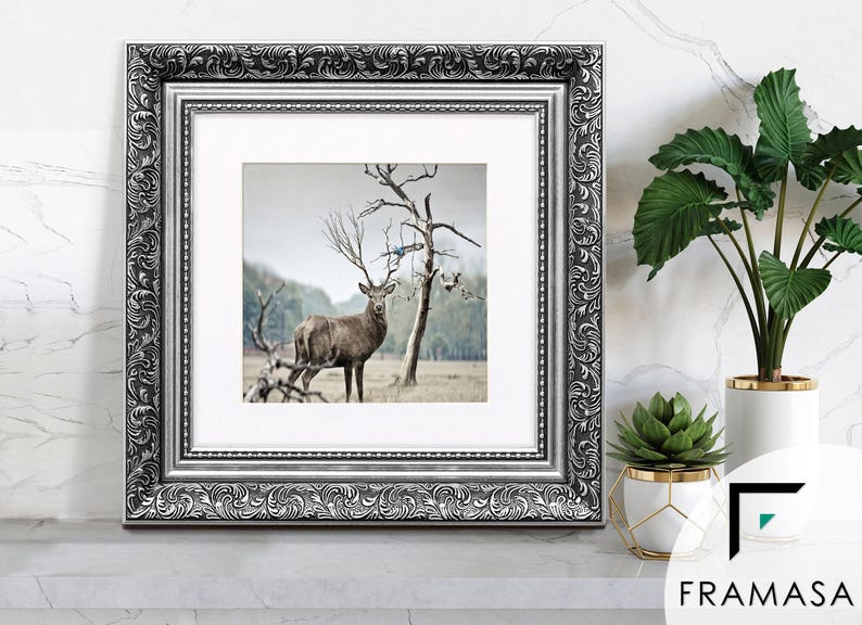 Traditional Ornate silver square picture frame with white mount & vintage detailing displaying wildlife wall art on light grey surface, styled as elegant home decor. perfect for living room decor, office decor, farmhouse decor, and classic gallery wall styling