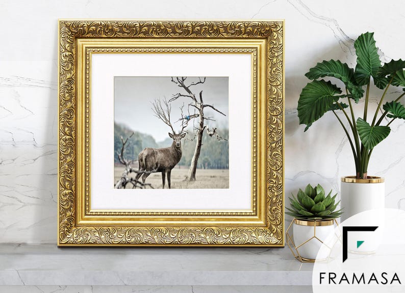 Traditional Ornate gold square picture frame with white mount & vintage detailing displaying wildlife wall art on light grey surface, styled as elegant home decor. perfect for living room decor, office decor, farmhouse decor, and classic gallery wall styling