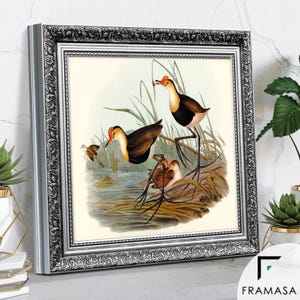 Ornate silver square picture frame showing side view with intricate vintage detailing displaying classic bird wall art. Elegant poster frame and photo frame design perfect for home decor, add a timeless traditional touch to any space