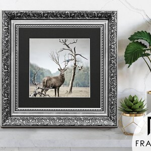Traditional Ornate silver square picture frame with black mount & vintage detailing displaying wildlife wall art on light grey surface, styled as elegant home decor. perfect for living room decor, office decor, farmhouse decor, and classic gallery wall styling