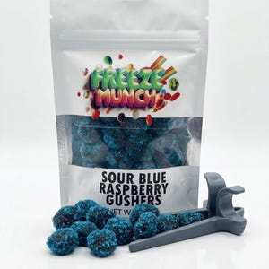 Sour Blue Raspberry Gummy Gushers: Tangy Candy Treat - Etsy