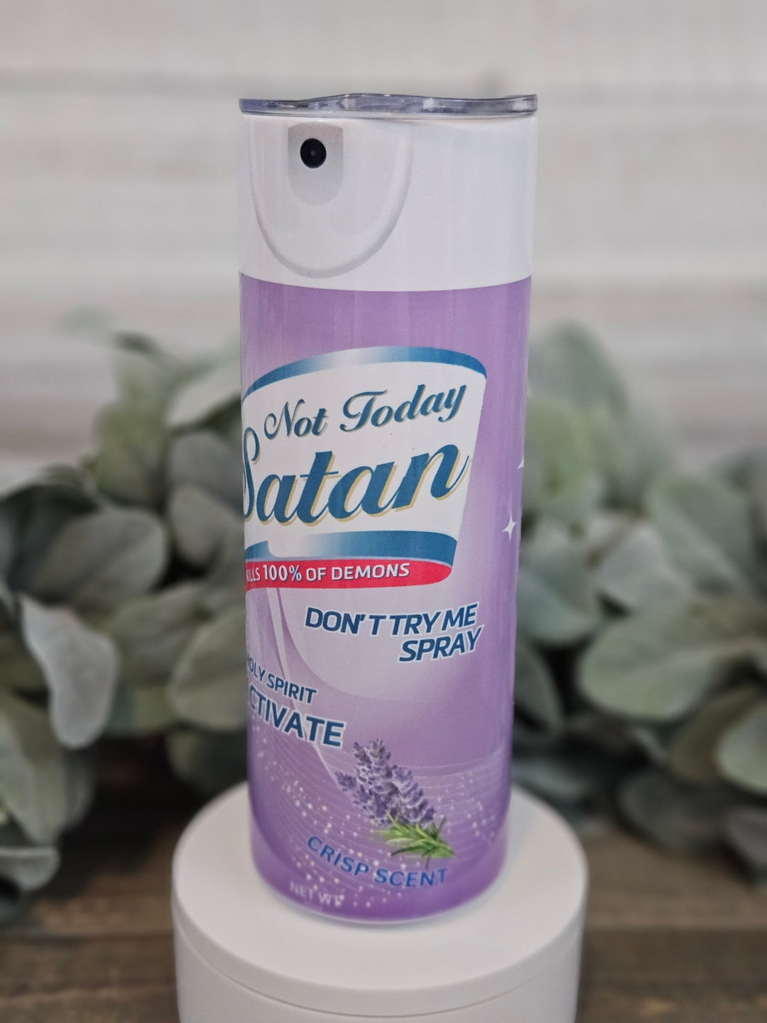 Ready to Ship 20oz Stainless Steel Tumbler / Not Today Satan / Lysol