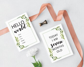 Pregnancy + Baby Milestone Cards