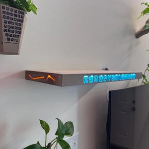 Zelda Breath of the Wild Sheikah Shelf with Ancient Glowing Letters