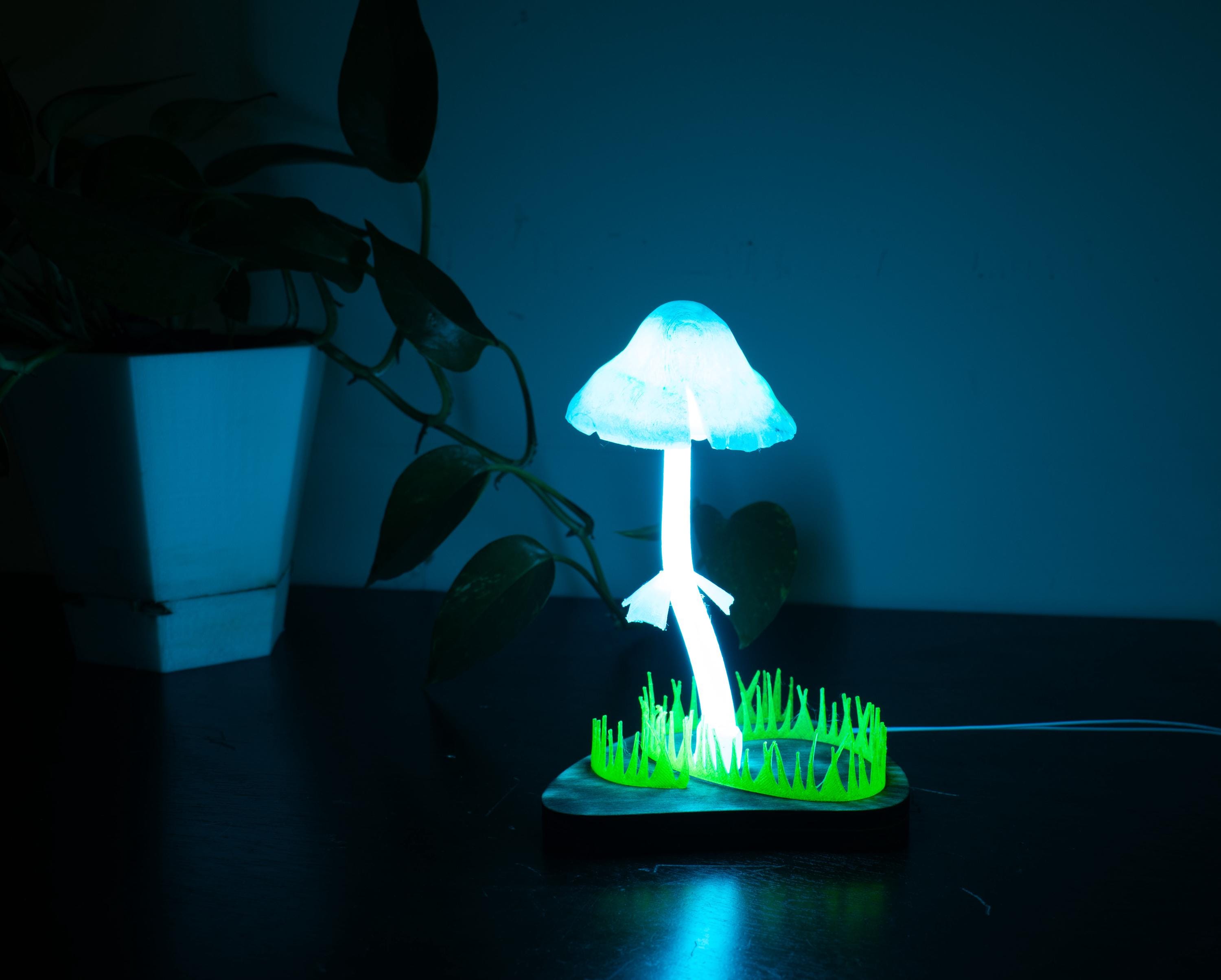 HylianStore - Etsy