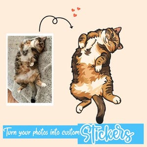 May include: A rectangular photograph of a calico cat lying on its back next to a stylized digital illustration of the same cat in a similar pose. Below the images, a blue banner displays the white text: Turn your photos into custom Stickers.