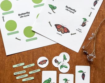 LIFE CYCLE of a BUTTERFLY- Home Education with Nature Learning, Montessori education as preschool printables