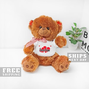 Custom Valentine&#39;s Day Teddy Bear, Valentines Day Gifts For Her, Valentines Day Gifts For Him, I Love You Bear, Custom Teddy Bear