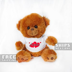 Valentine&#39;s Day Teddy Bear, Custom Couples Plush Teddy Bear, Girlfriend Gift, Boyfriend Gift, I Love You Bear, Custom Teddy Bear