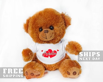 Valentine's Day Teddy Bear, Custom Couples Plush Teddy Bear, Girlfriend Gift, Boyfriend Gift, I Love You Bear, Custom Teddy Bear