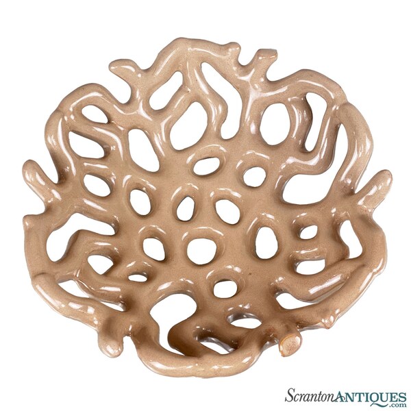 Coral Reef Bowl Etsy