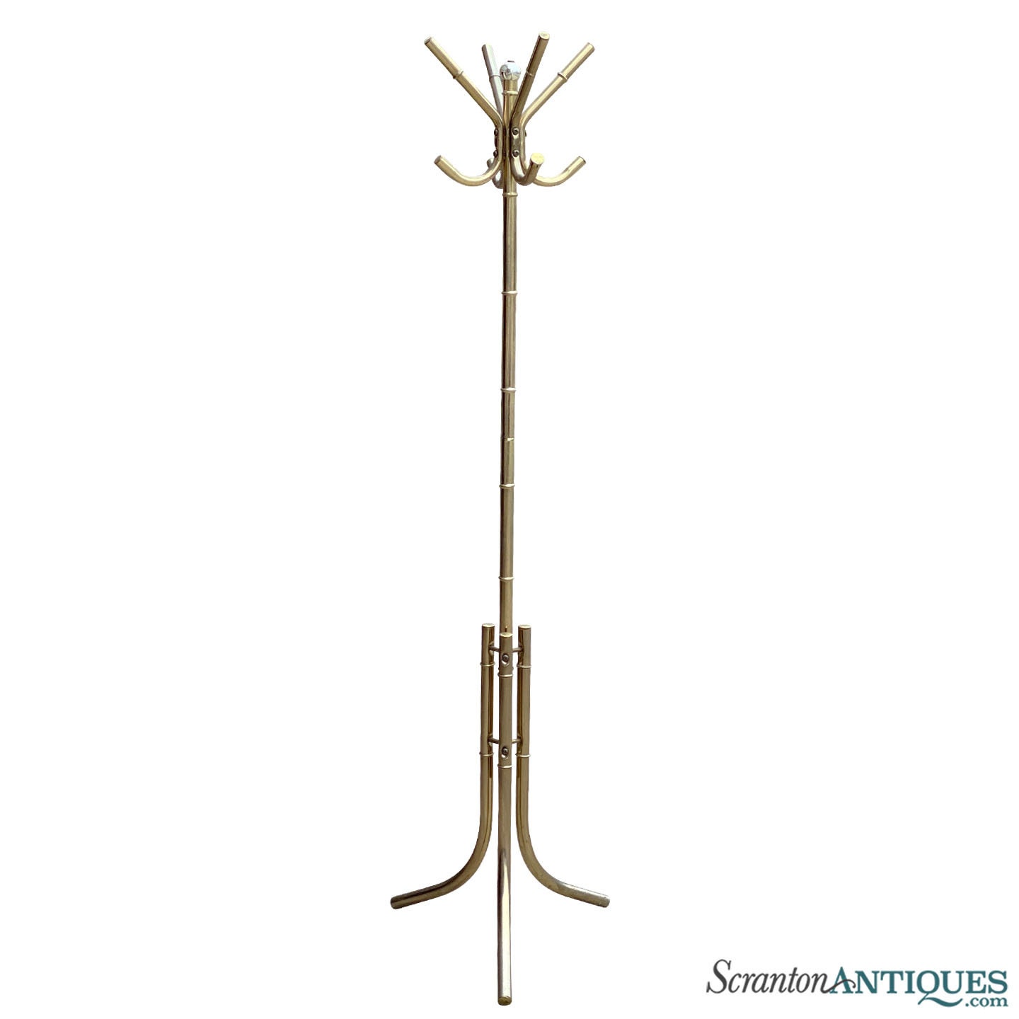 Gold coat tree discount
