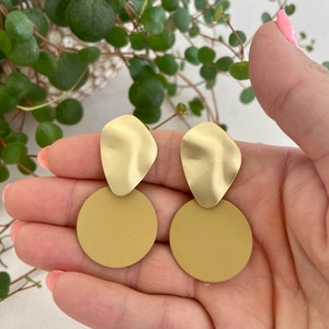Matt coloured disc and brass earrings