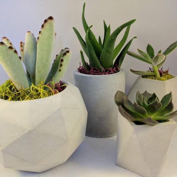 Geometric concrete succulent planter set of 4, Handmade plant pots with tray for indoor plants, Pots for indoor houseplants
