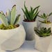 see more listings in the Indoor planter and pots section