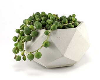 Geometric succulent planter, Medium hexagon concrete pot