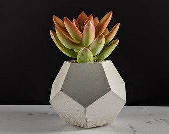 Geometric concrete succulent planter, handmade succulent pot, minimalist pot for houseplants