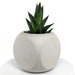 see more listings in the Indoor planter and pots section