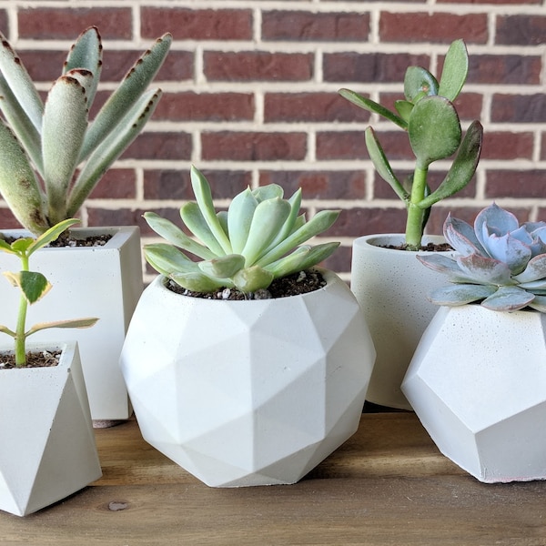 Concrete succulent planter set of 5 with saucer, Geometric handmade indoor pots for succulents and cacti