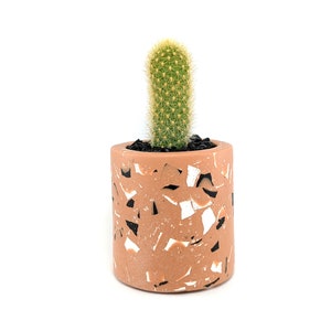 Terrazzo succulent planter, Cutlery holder, Pencil holder, Succulent pot for indoor plants,Cactus pot, Terrazzo pot,Geometric modern planter image 5