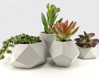 succulent planter set for indoor plants, Geometric plant Pots with tray, Succulent and cactus pot set, Industrial planter, Air plant holder